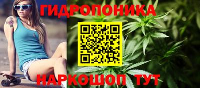крисы Ставрополь