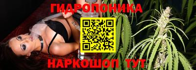 стаф Старая Купавна